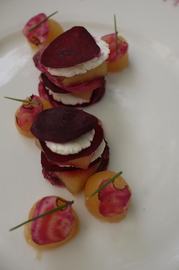 Champagne-et-Fontaine Domaine De Puytirel Bed & Breakfast エクステリア 写真