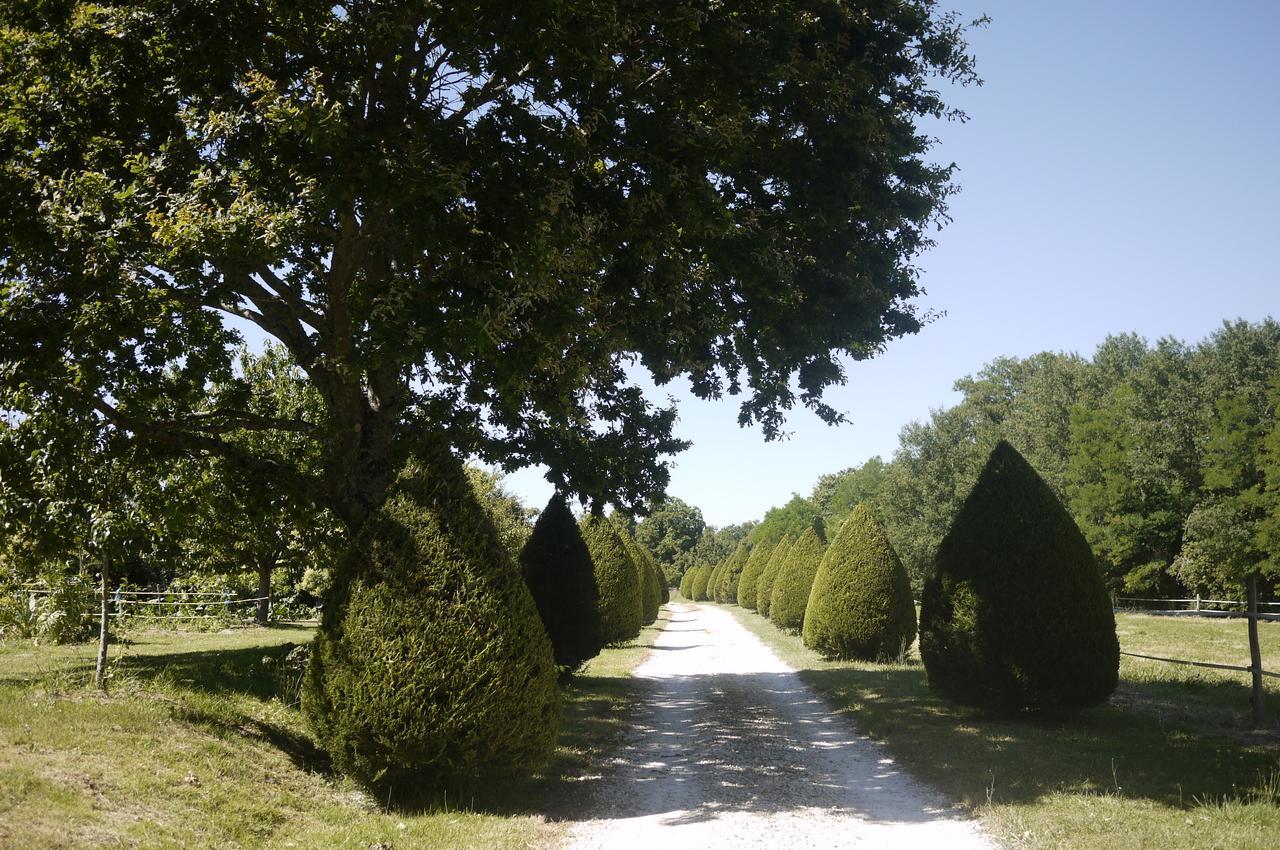 Champagne-et-Fontaine Domaine De Puytirel Bed & Breakfast エクステリア 写真