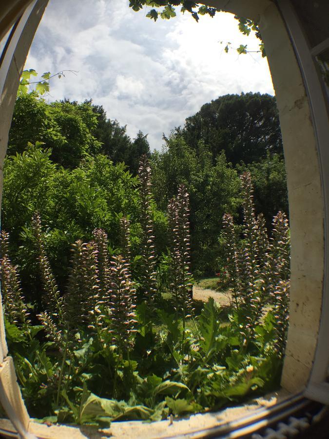 Champagne-et-Fontaine Domaine De Puytirel Bed & Breakfast エクステリア 写真